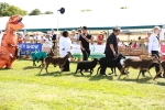 SBM_08404