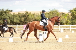 SBM_009406