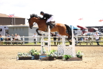 SBM_003917