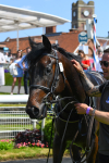 270523-Race 2-Native American-0353