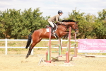 SBM_006261
