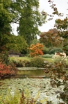 Wakehurst Place, West Sussex