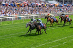 270626-Race 3-Naanas Shadow-0209