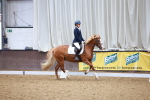 SBM_000600