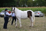 WJ6_5557