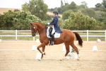 SBM_020181