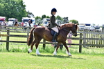 SBM_07865