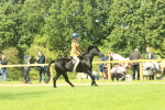 SBM_66511