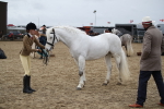 SBM_007268