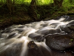 River Rivelin