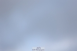 241201X-135516-01565
