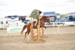 SBM_17886