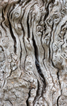 Bark landscape, aerial view, near Thorverton
