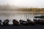 Lakeland Mist 1