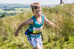 Tebay U9-31