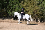 WJ6_7003
