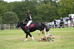 WJ7_8032