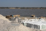 Senegal Lac Rose salt production 16
