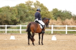 SBM_006460