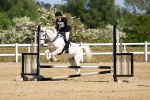 SBM_007640