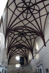 Nave, ribbed vault