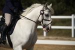 SBM_005794