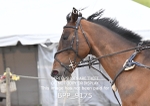 BPP_9175