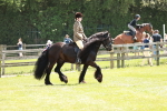 SBM_07032