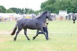 SBM_04038