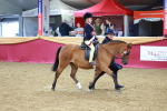 SBM_06437