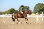 SBM_02209