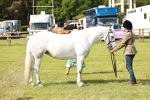 SBM_01638