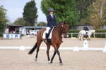 Class 5 - Team Quest Novice 2 portfolio