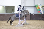 SBM_003651