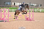 Cls 05s A&B Pony Brit Nov & 80 Open portfolio