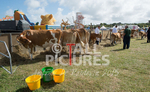 West Show_2014-13