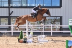 BPP_6629