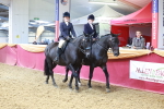 SBM_14872