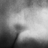 STATUE DETAIL, JARDIN DE LUXEMBOURG- PARIS