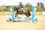 SBM_001953