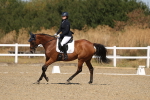 SBM_013515
