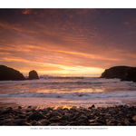 Fine Art Prints portfolio