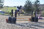CLASS 1 SAT Springboard 128cm/ 138cm Restricted Handicap portfolio