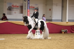 SBM_09355
