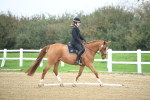 LAD_3705