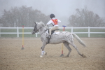 SBM_000971