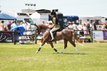 SBM_15646