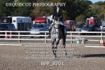 BPP_8701