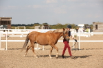 SBM_08121