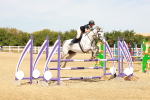 SBM_003400